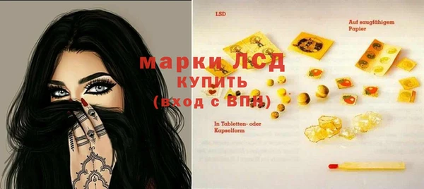 прущий лед Алзамай