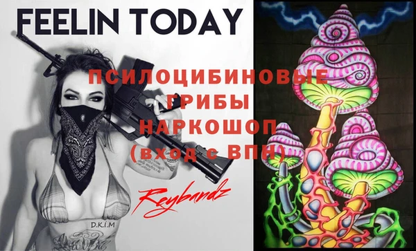 прущий лед Алзамай