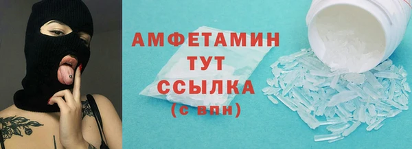 прущий лед Алзамай
