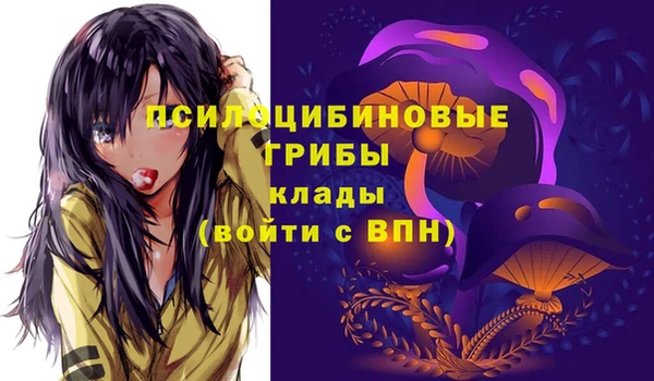 ECSTASY Абинск
