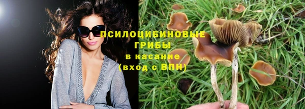 ECSTASY Абинск