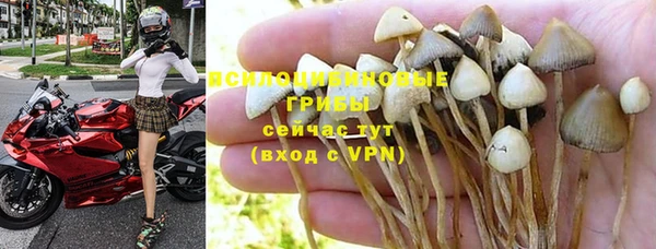 ECSTASY Абинск