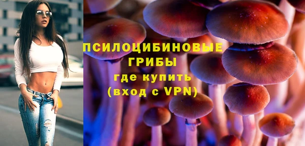 амф Абаза