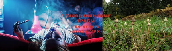 амф Абаза